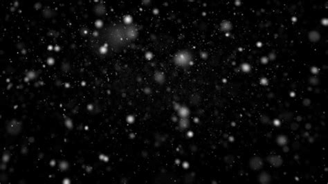 Snow Overlay Stock Video Footage for Free Download