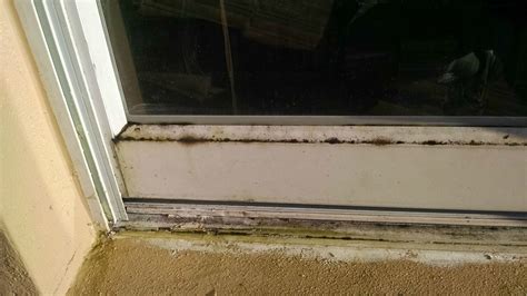cleaning - How do I source, remove, and prevent green mold on my aluminum windows? - Home ...
