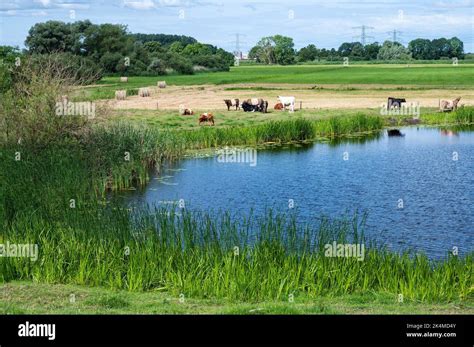 Flood zone hi-res stock photography and images - Alamy