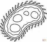 Germ coloring Page  Free Printable Coloring Pages sketch template