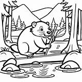 Beaver Constructing A dam In The Wilderness coloring Page Coloring Jungle sketch template