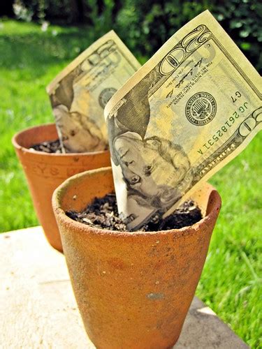 $20 Dollars in Plant pot | $20 bill in a plant pot - someone… | Flickr