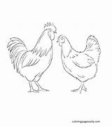 Rooster And Hen Coloring Page Free Printable Pages sketch template