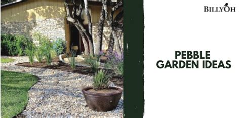 Pebble Garden Ideas for a Low-Maintenance Space - Extra