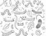 Inchworm Coloring Pages sketch template
