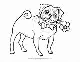 Printable Pug Coloring Pages  Coloring Home sketch template