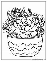 Printable Succulent Coloring Page sketch template