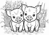 Cute Baby Pig Coloring Pages sketch template