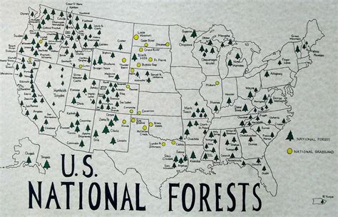 U.S. National Forests Map - Etsy