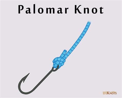 How to Tie a Palomar Knot? Variations, Uses, Tips & Video Guide