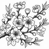 Trees Coloring Pages 🌳 56 Free Printable Sheets sketch template