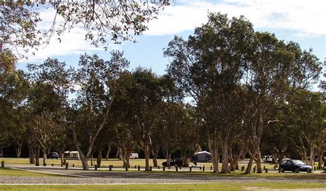 Diamond Head campground | NSW National Parks