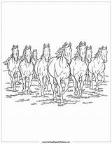 25 Majestic Horse Coloring Pages Free Printables For Kids sketch template