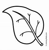 Coloring Sheets Of Leaves Pages sketch template