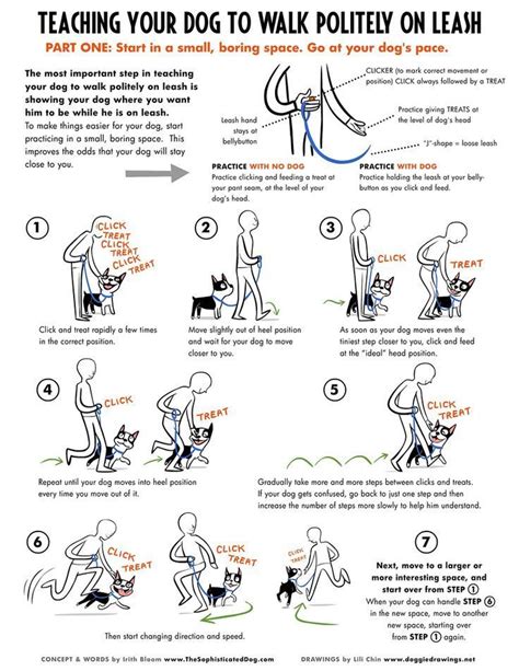 Loose Leash Walking- part 1 | Dog training, Puppy training tips, Loose leash walking