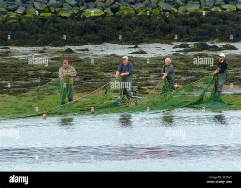 Salmon fishermen on the River Tweed Stock Photo - Alamy