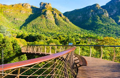 Kirstenbosch Gardens Bridge | Fasci Garden