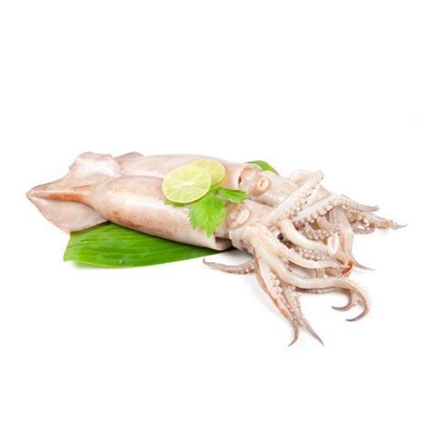 Frozen squid – Golden Bay Food – Frozen seafood supplier from China