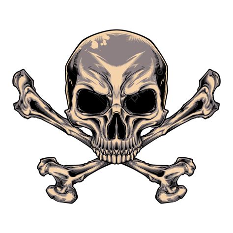 Skull And Cross Bones, Skull, Bone, Skeleton PNG Transparent Clipart Image and PSD File for Free ...