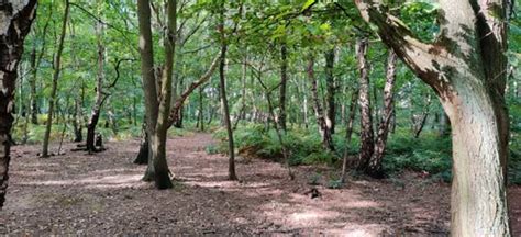 10 Best Trails and Hikes in Barnsley | AllTrails