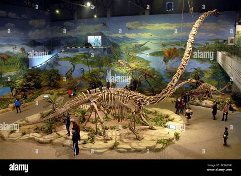 El Museo de Dinosaurios Zigong en Zigong, Sichuan, China. Este museo afirma contener el mayor ...