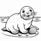 Smiling Baby seal On The Beach coloring page Lulu Pages sketch template