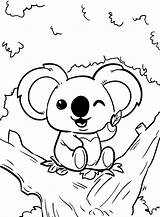 Fun Pet Koala coloring page  Download Print Or Color Online For Free sketch template