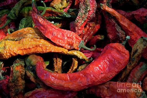 New Mexico Chili Peppers Photograph by Sharon Foelz - Fine Art America