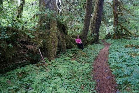 Hiking the Hoh Rainforest | Camping for Women