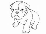 Coon Dog Coloring Pages At GetColoringscom  Free Printable Colorings sketch template