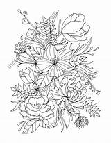 Botany Coloring Book Pages sketch template