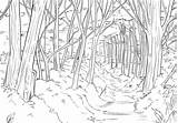 Forest Coloring Pages Book Art Colouring Adult  sketch template