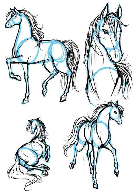 Horse Drawing Ideas