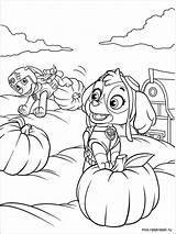 Skye And Zuma Are Picking Pumpkins coloring Page sketch template
