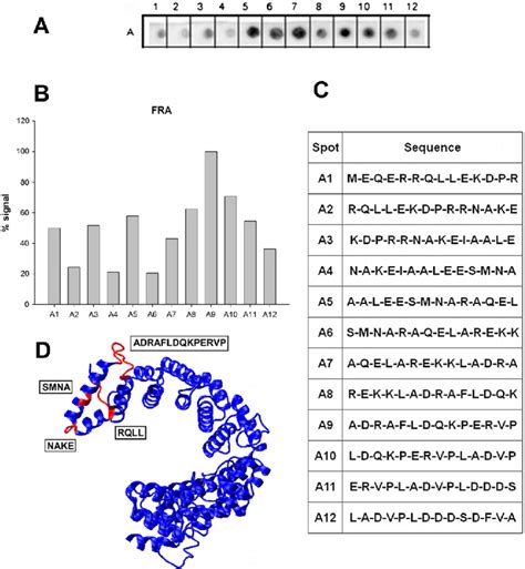 Linear epitope mapping of FRA with human patient sera. Peptides 14... | Download Scientific Diagram