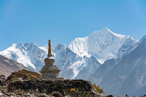 What to Expect from Langtang Valley Trek? (Updated 2024/ 2025) - Mount ...