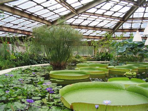File:Botanical Garden V.L. Komarov Botanical Institute.jpg - Wikimedia ...