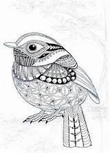 Efie goes Zentangle Ben Kwok Flycatcher  Drawings Coloring sketch template