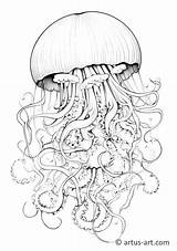 Jellyfish Coloring Page » Free Download Artus Art sketch template