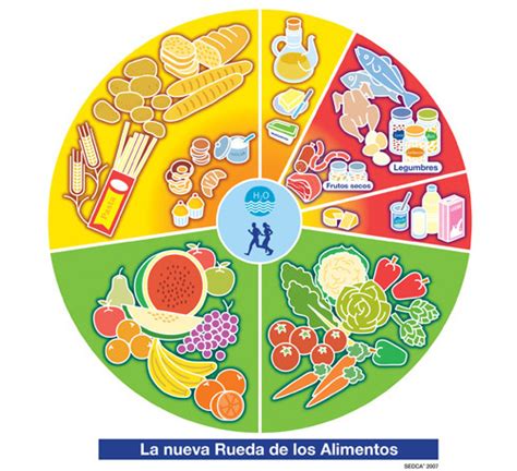 LA CLASIFICACIÓN DE LOS ALIMENTOS