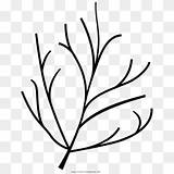 Twig Coloring Page  Icons Black And White Clipart 1415958 PikPng sketch template