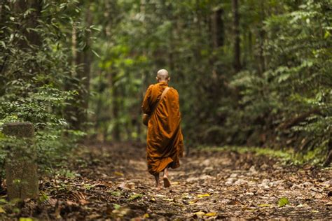 The Thai Forest Tradition of Buddhist Monks