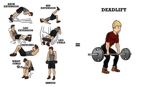 deadlift back workout #powerliftingdeadliftworkout | Deadlift, Deadlift ...