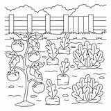 Printable Vegetable Garden Coloring Pages & coloring Book sketch template