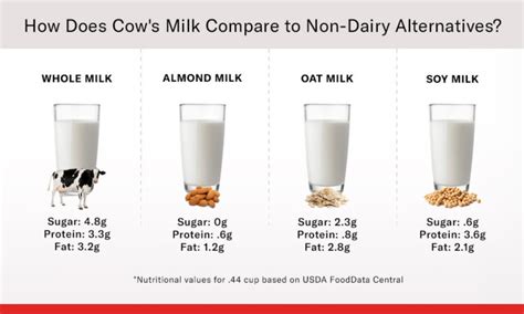 What to Know About Non-Dairy Milks