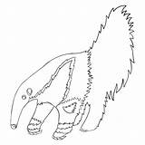 La Aventura Del oso hormiguero Una Linda Página Para Colorear  sketch template
