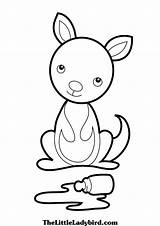 Baby Kangaroo Coloring Page At GetColoringscom  Free Printable sketch template