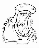 Hippo Coloring Pages sketch template