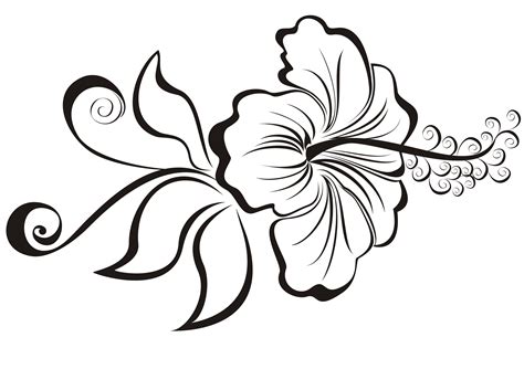 Hibiscus Flower Drawing - ClipArt Best