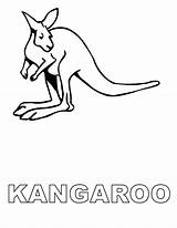Free Printable Kangaroo Coloring Pages For Kids sketch template